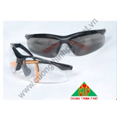 Kính bảo hộ 92085