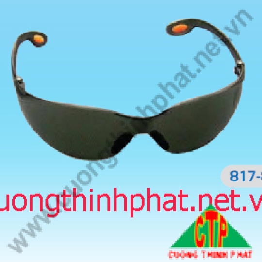 Kính dơi Bảo Bình 817-819