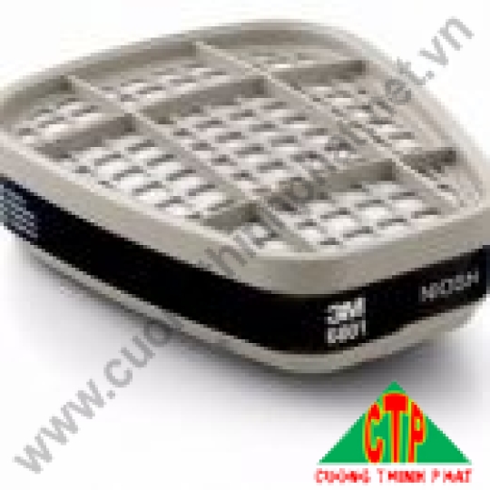 Phin Lọc 3M 6001