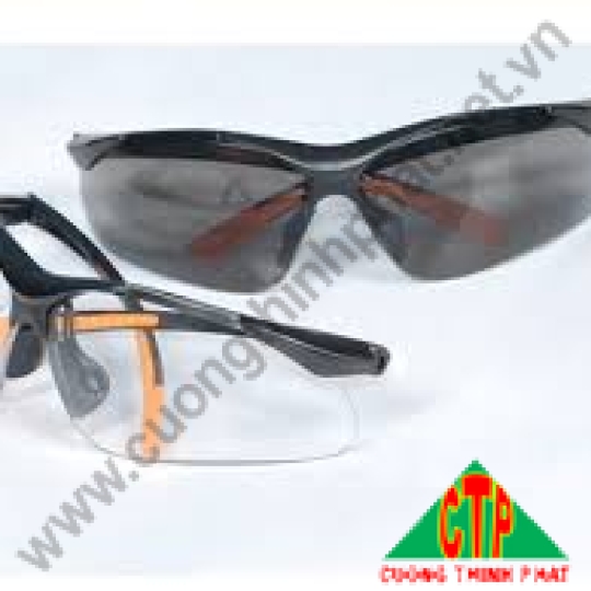 Kính bảo hộ 92085